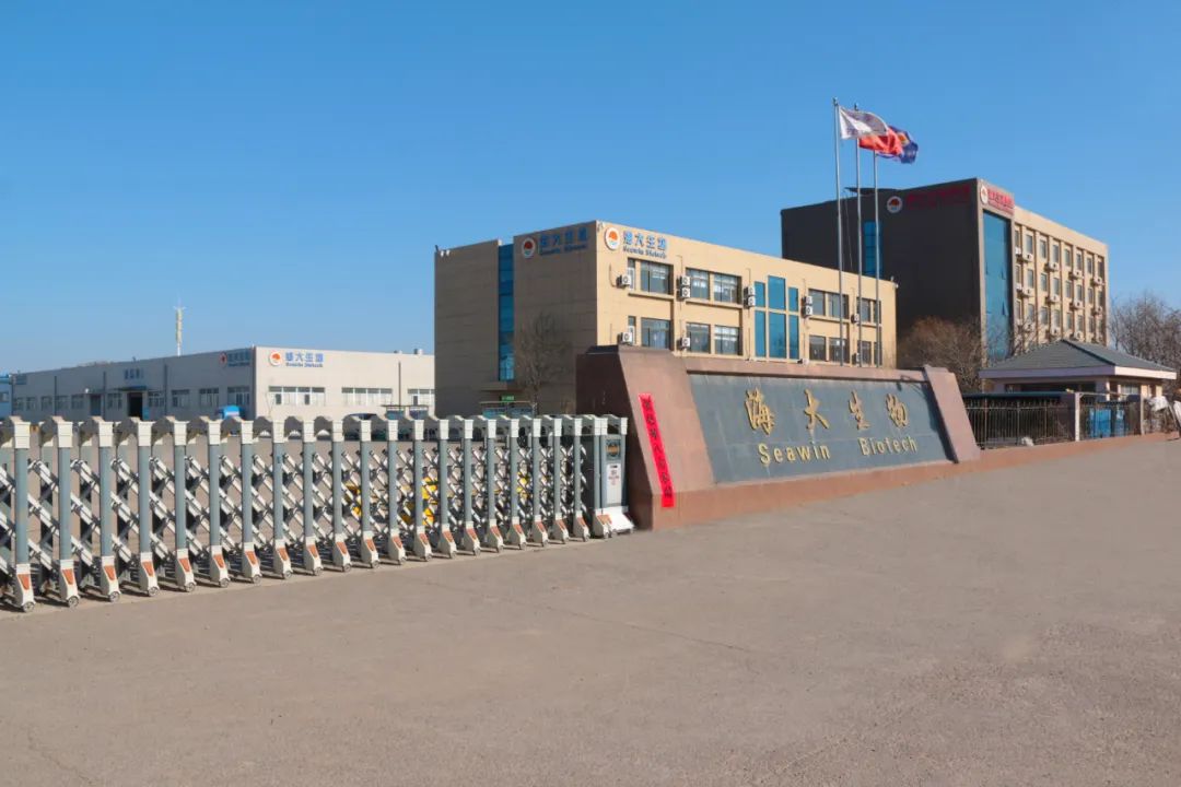 304永利正月初八开门红