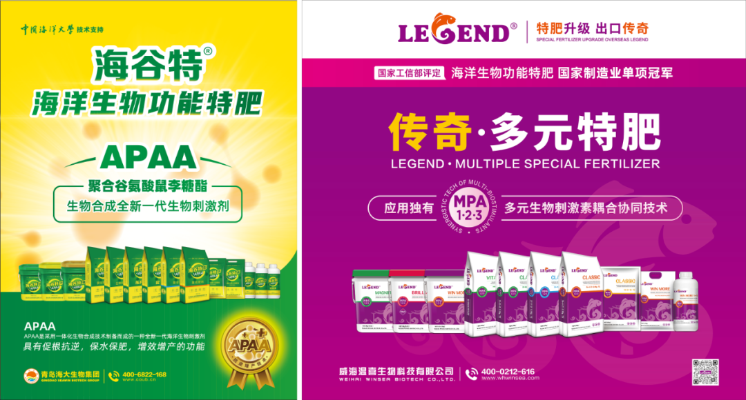 助力国际特肥行业发展，304永利集团荣获三项大奖